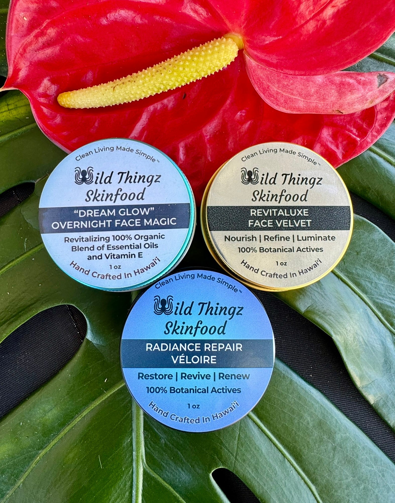 Collections – Wild Thingz Skinfood
