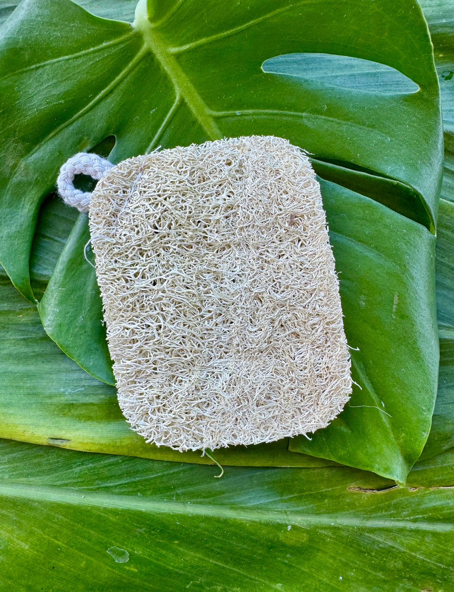 ✨ Holiday Tropical Self-Love Gift Box ✨