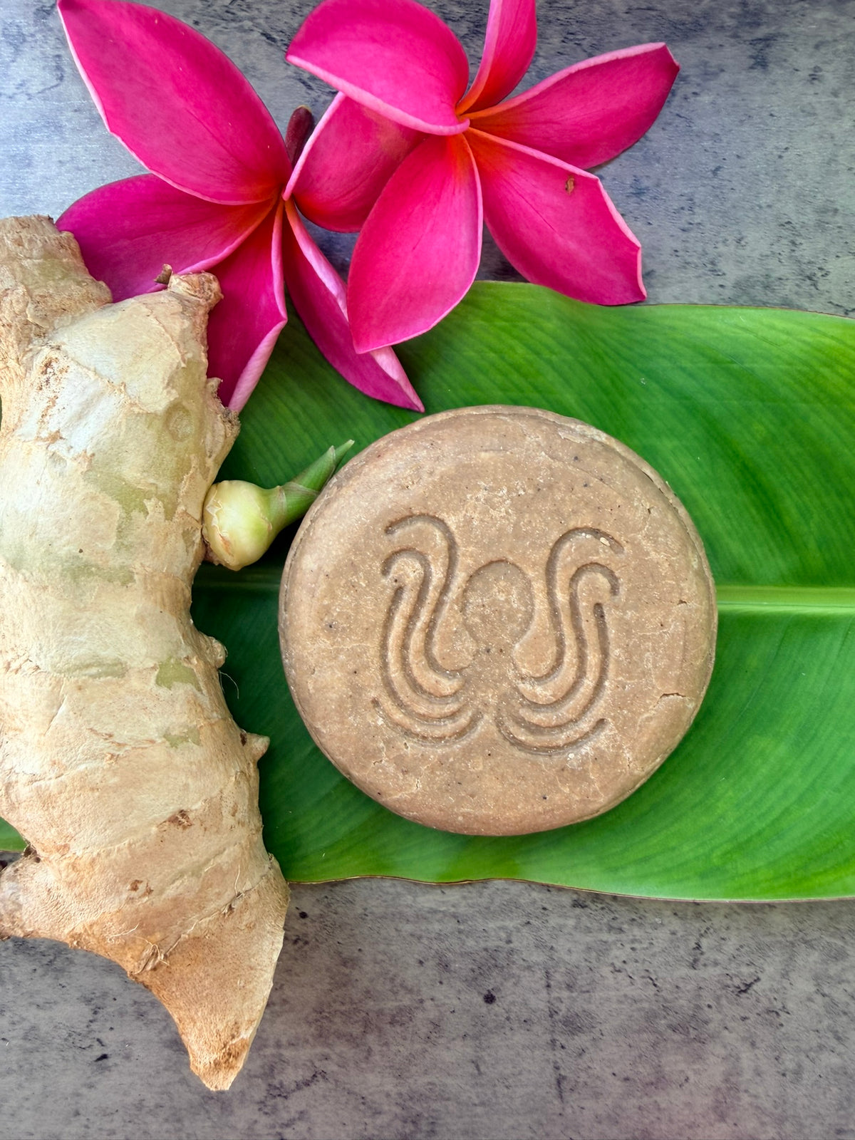 Wild Ginger Rice Shampoo Bars
